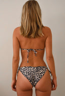 chikie-bikini-sets-bikini-bottoms-scrunch-panty-leopard-back